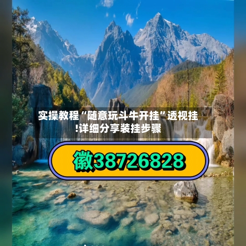 实操教程“随意玩斗牛开挂	”透视挂!详细分享装挂步骤-第2张图片