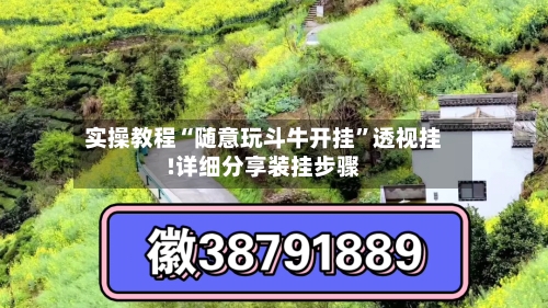 实操教程“随意玩斗牛开挂”透视挂!详细分享装挂步骤-第3张图片