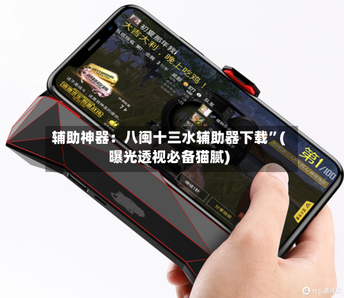 辅助神器：八闽十三水辅助器下载”(曝光透视必备猫腻)-第2张图片