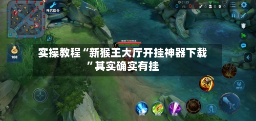 实操教程“新猴王大厅开挂神器下载”其实确实有挂-第3张图片
