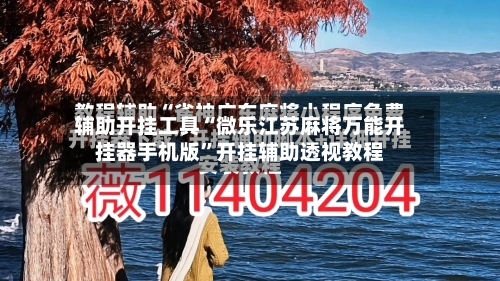 辅助开挂工具“微乐江苏麻将万能开挂器手机版”开挂辅助透视教程-第3张图片