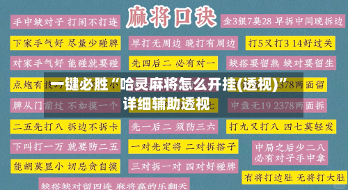 一键必胜“哈灵麻将怎么开挂(透视)”详细辅助透视-第2张图片