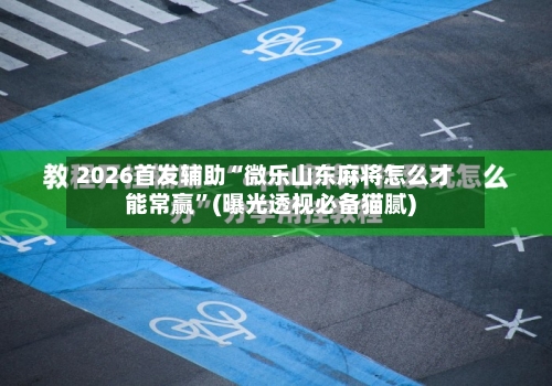 2026首发辅助“微乐山东麻将怎么才能常赢”(曝光透视必备猫腻)-第2张图片