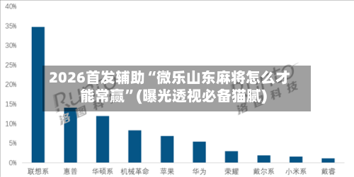 2026首发辅助“微乐山东麻将怎么才能常赢”(曝光透视必备猫腻)-第3张图片