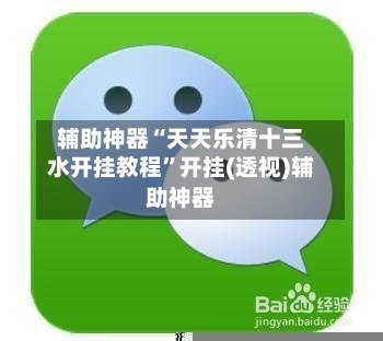 辅助神器“天天乐清十三水开挂教程”开挂(透视)辅助神器-第2张图片