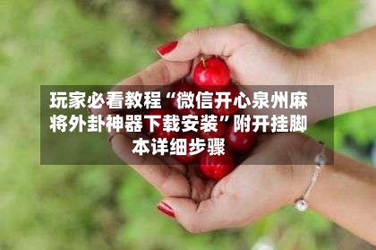 玩家必看教程“微信开心泉州麻将外卦神器下载安装”附开挂脚本详细步骤