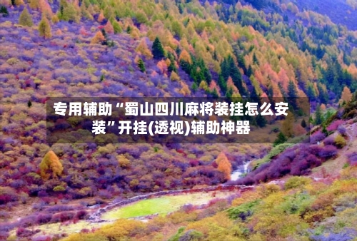专用辅助“蜀山四川麻将装挂怎么安装”开挂(透视)辅助神器-第2张图片