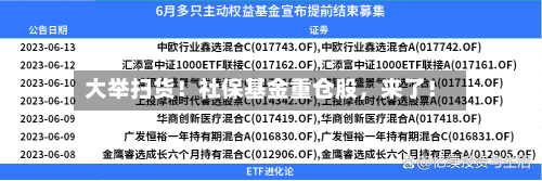 大举扫货！社保基金重仓股	，来了！-第3张图片