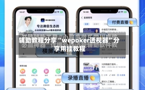 辅助教程分享“wepoker透视器”分享用挂教程-第2张图片