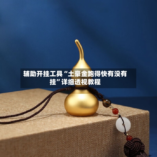 辅助开挂工具“土豪金跑得快有没有挂”详细透视教程-第2张图片