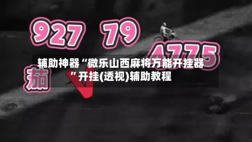 辅助神器“微乐山西麻将万能开挂器”开挂(透视)辅助教程-第2张图片