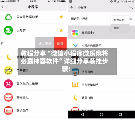 教程分享“微信小程序微乐麻将必赢神器软件”详细分享装挂步骤!-第3张图片