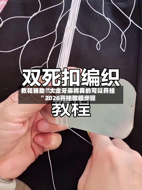 教程辅助“大金牙麻将真的可以开挂”2026开挂教程步骤-第2张图片