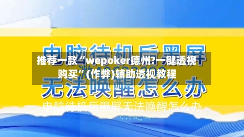 推荐一款“wepoker德州?一键透视购买”(作弊)辅助透视教程-第3张图片