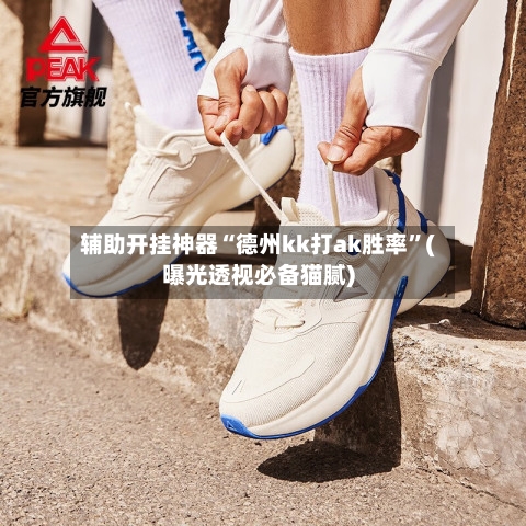 辅助开挂神器“德州kk打ak胜率”(曝光透视必备猫腻)-第3张图片