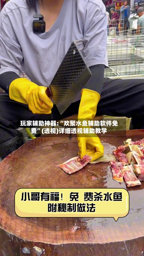 玩家辅助神器:“欢聚水鱼辅助软件免费”(透视)详细透视辅助教学