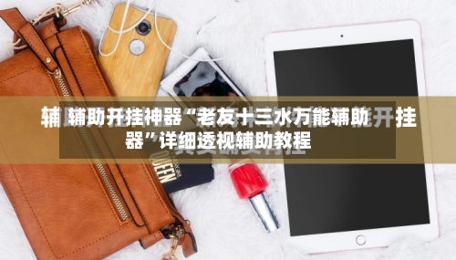 辅助开挂神器“老友十三水万能辅助器”详细透视辅助教程