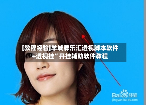 [教程经验]羊城牌乐汇透视脚本软件+透视挂”开挂辅助软件教程-第2张图片