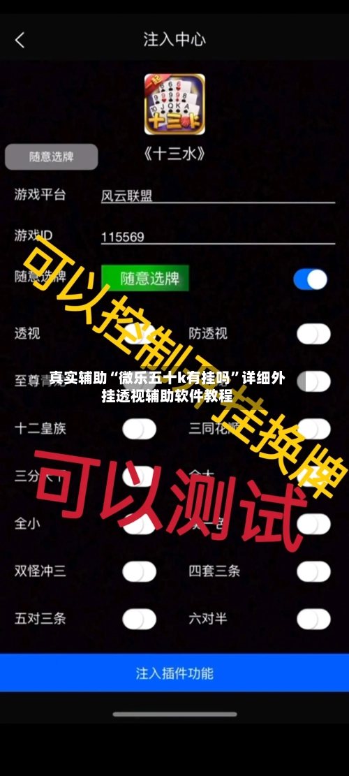 真实辅助“微乐五十k有挂吗”详细外挂透视辅助软件教程-第2张图片