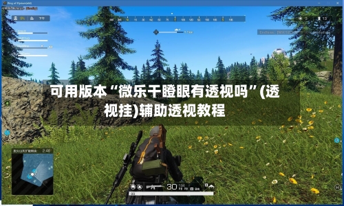 可用版本“微乐干瞪眼有透视吗”(透视挂)辅助透视教程