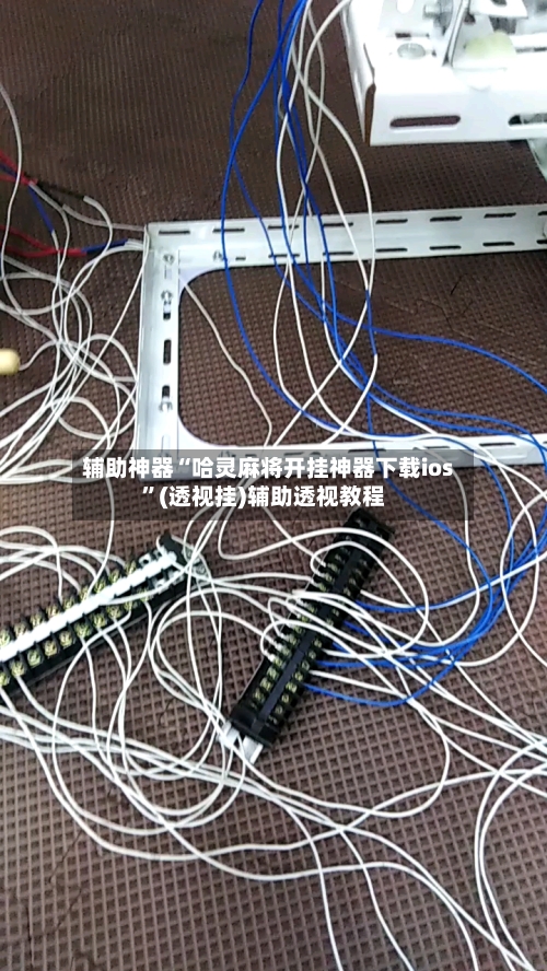 辅助神器“哈灵麻将开挂神器下载ios	”(透视挂)辅助透视教程-第2张图片