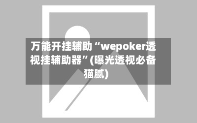 万能开挂辅助“wepoker透视挂辅助器”(曝光透视必备猫腻)-第3张图片