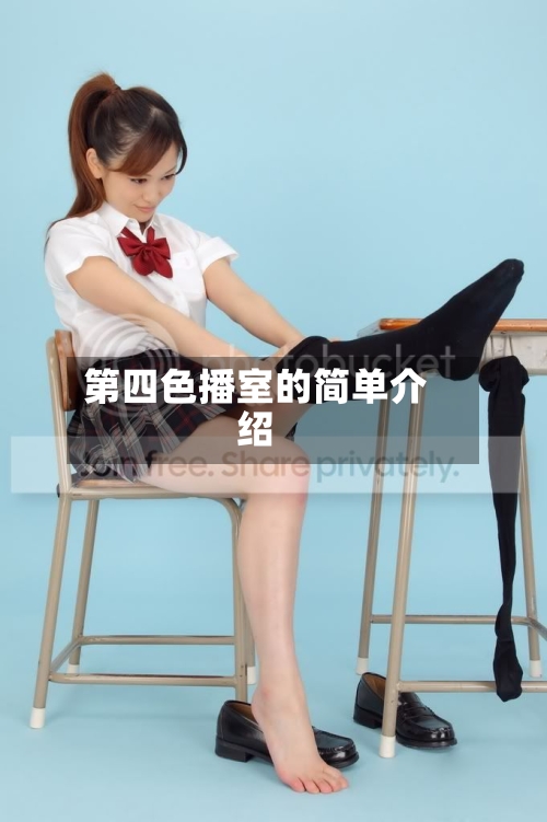 第四色播室的简单介绍