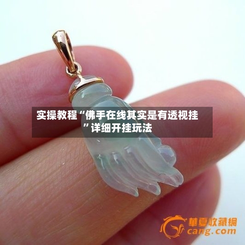 实操教程“佛手在线其实是有透视挂”详细开挂玩法-第3张图片