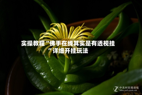 实操教程“佛手在线其实是有透视挂”详细开挂玩法-第2张图片