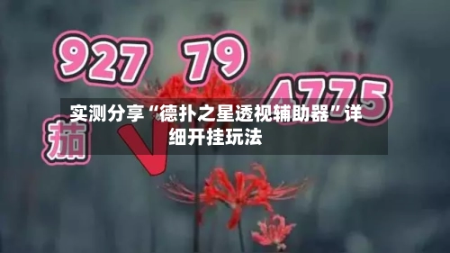 实测分享“德扑之星透视辅助器	”详细开挂玩法-第2张图片
