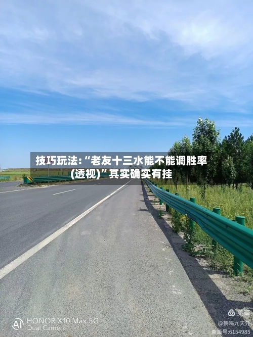 技巧玩法:“老友十三水能不能调胜率(透视)”其实确实有挂-第2张图片