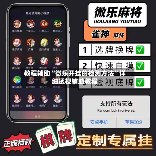 教程辅助“微乐开挂的检测方法”详细透视辅助教程-第2张图片