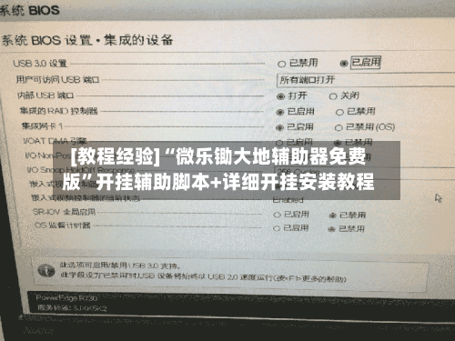 [教程经验]“微乐锄大地辅助器免费版”开挂辅助脚本+详细开挂安装教程-第3张图片