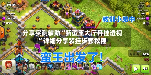 分享实测辅助“新蛮王大厅开挂透视”详细分享装挂步骤教程-第3张图片