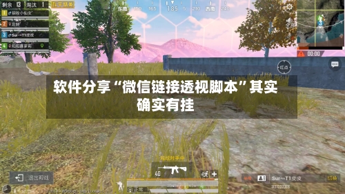 软件分享“微信链接透视脚本”其实确实有挂-第2张图片