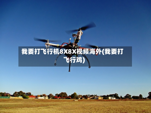 我要打飞行机8X8X视频海外(我要打飞行鸡)-第2张图片
