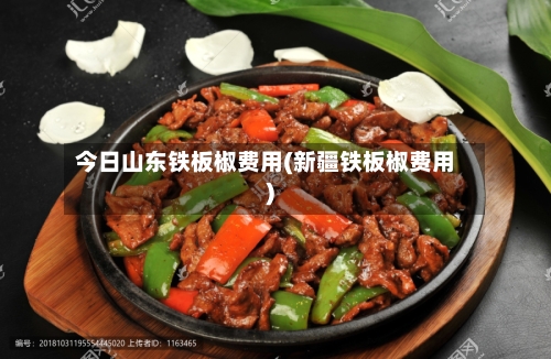 今日山东铁板椒费用(新疆铁板椒费用)-第2张图片