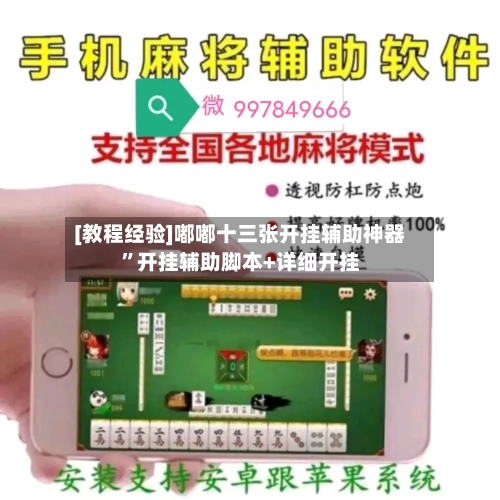 [教程经验]嘟嘟十三张开挂辅助神器	”开挂辅助脚本+详细开挂-第2张图片