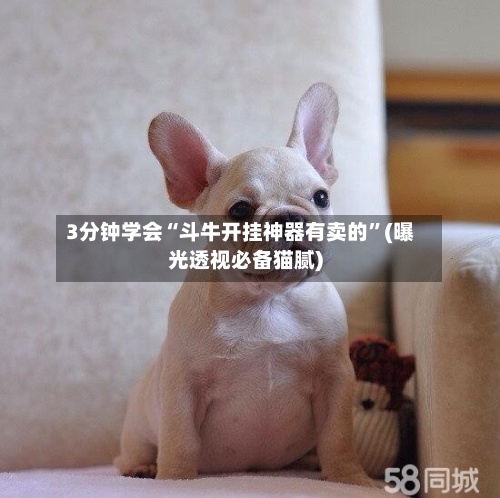 3分钟学会“斗牛开挂神器有卖的”(曝光透视必备猫腻)-第2张图片