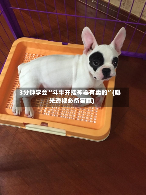 3分钟学会“斗牛开挂神器有卖的”(曝光透视必备猫腻)-第3张图片