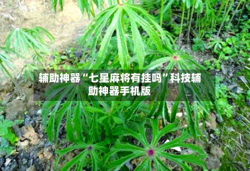 辅助神器“七星麻将有挂吗”科技辅助神器手机版
