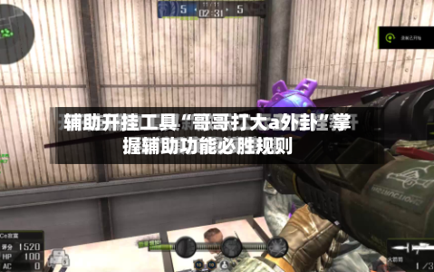 辅助开挂工具“哥哥打大a外卦”掌握辅助功能必胜规则-第2张图片