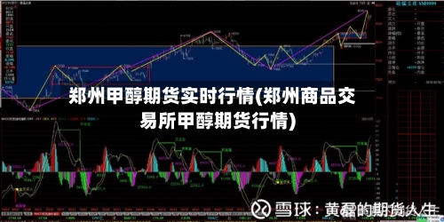 郑州甲醇期货实时行情(郑州商品交易所甲醇期货行情)-第2张图片