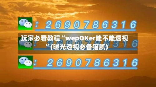 玩家必看教程“wepOKer能不能透视”(曝光透视必备猫腻)-第2张图片