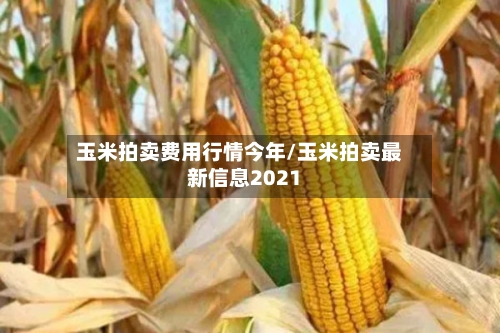 玉米拍卖费用行情今年/玉米拍卖最新信息2021-第2张图片