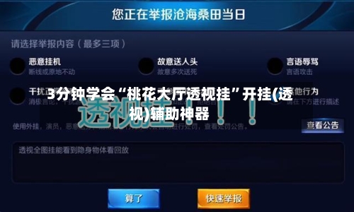 3分钟学会“桃花大厅透视挂”开挂(透视)辅助神器