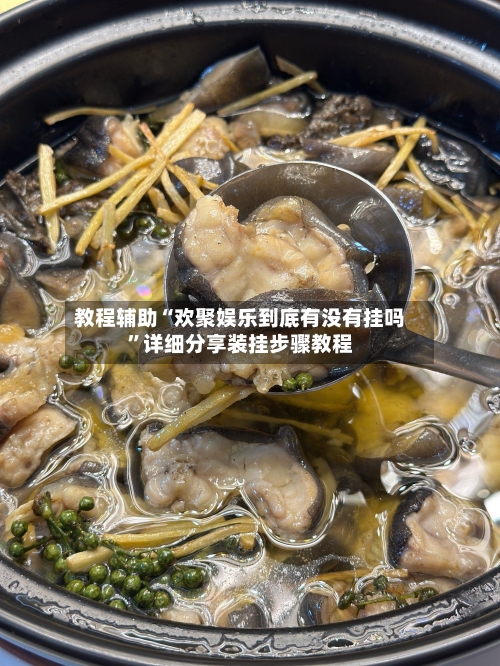 教程辅助“欢聚娱乐到底有没有挂吗	”详细分享装挂步骤教程-第2张图片