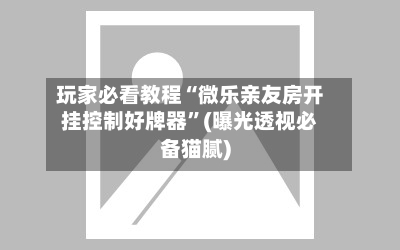玩家必看教程“微乐亲友房开挂控制好牌器”(曝光透视必备猫腻)-第2张图片