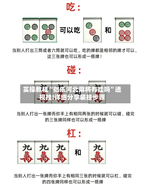 实操教程“微乐河北麻将有挂吗”透视挂!详细分享装挂步骤-第2张图片