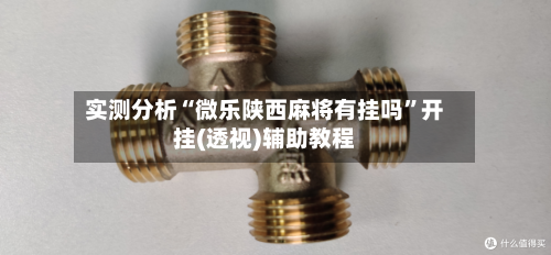 实测分析“微乐陕西麻将有挂吗”开挂(透视)辅助教程-第3张图片